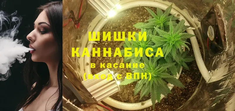 сайты даркнета официальный сайт  Полярный  Шишки марихуана SATIVA & INDICA 